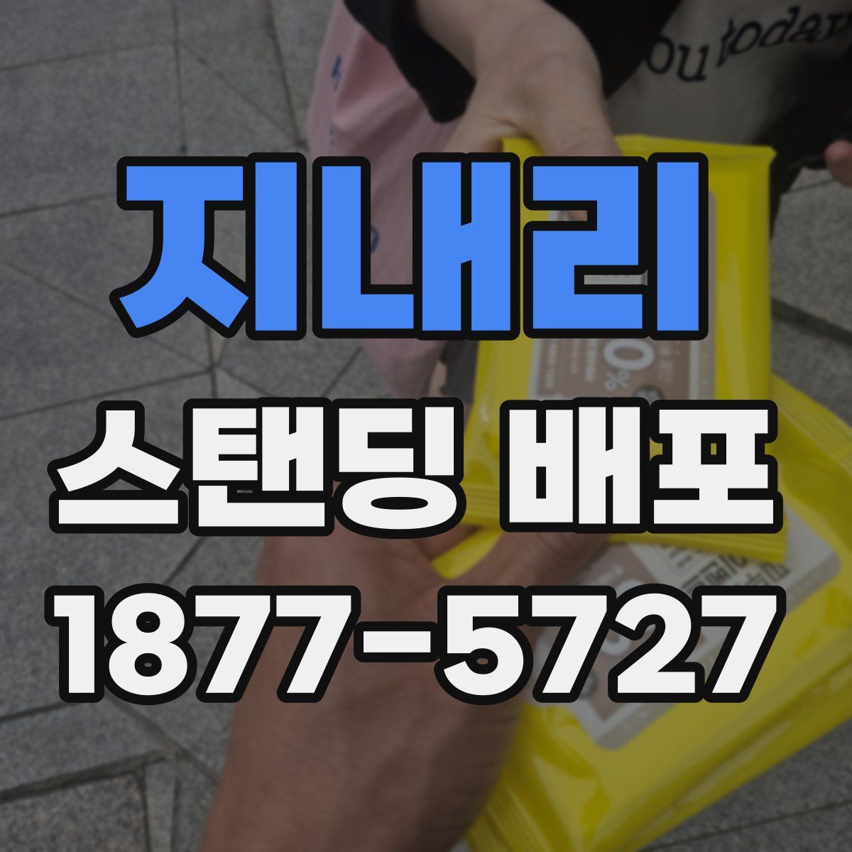 지내리 스탠딩 배포