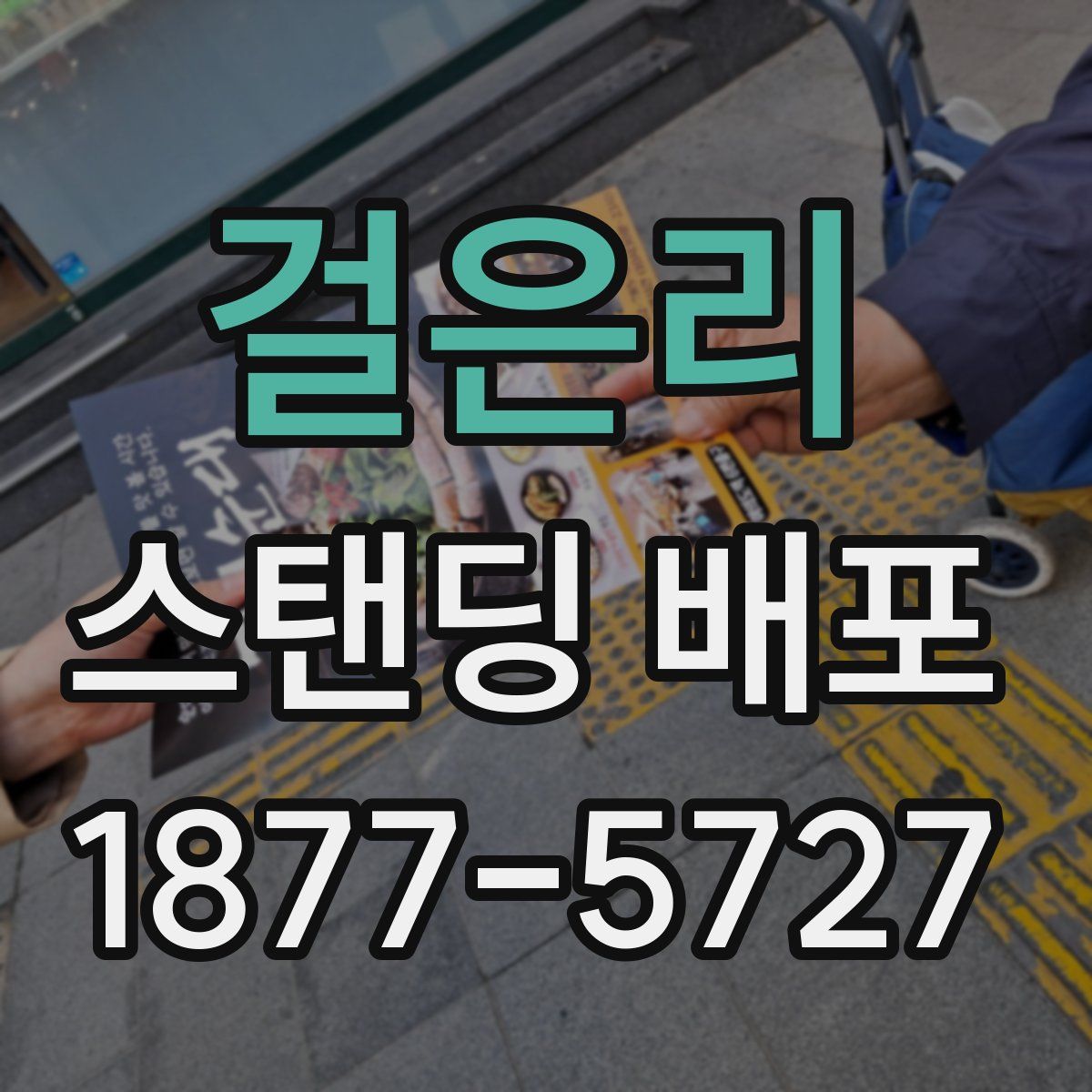 걸은리 스탠딩 배포