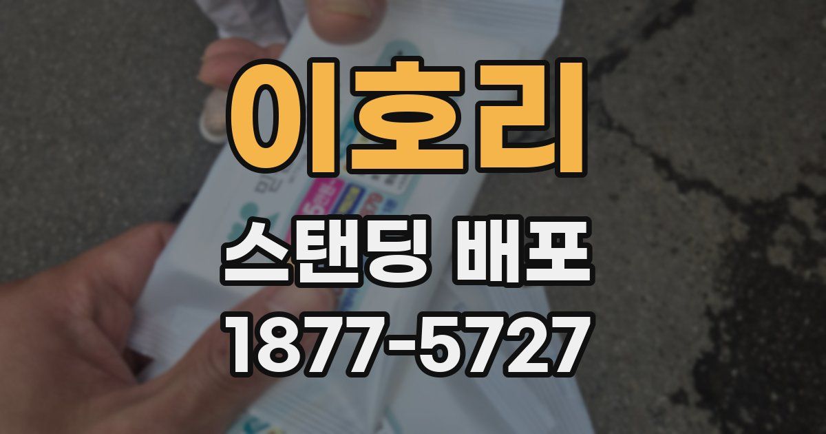 이호리 스탠딩 배포