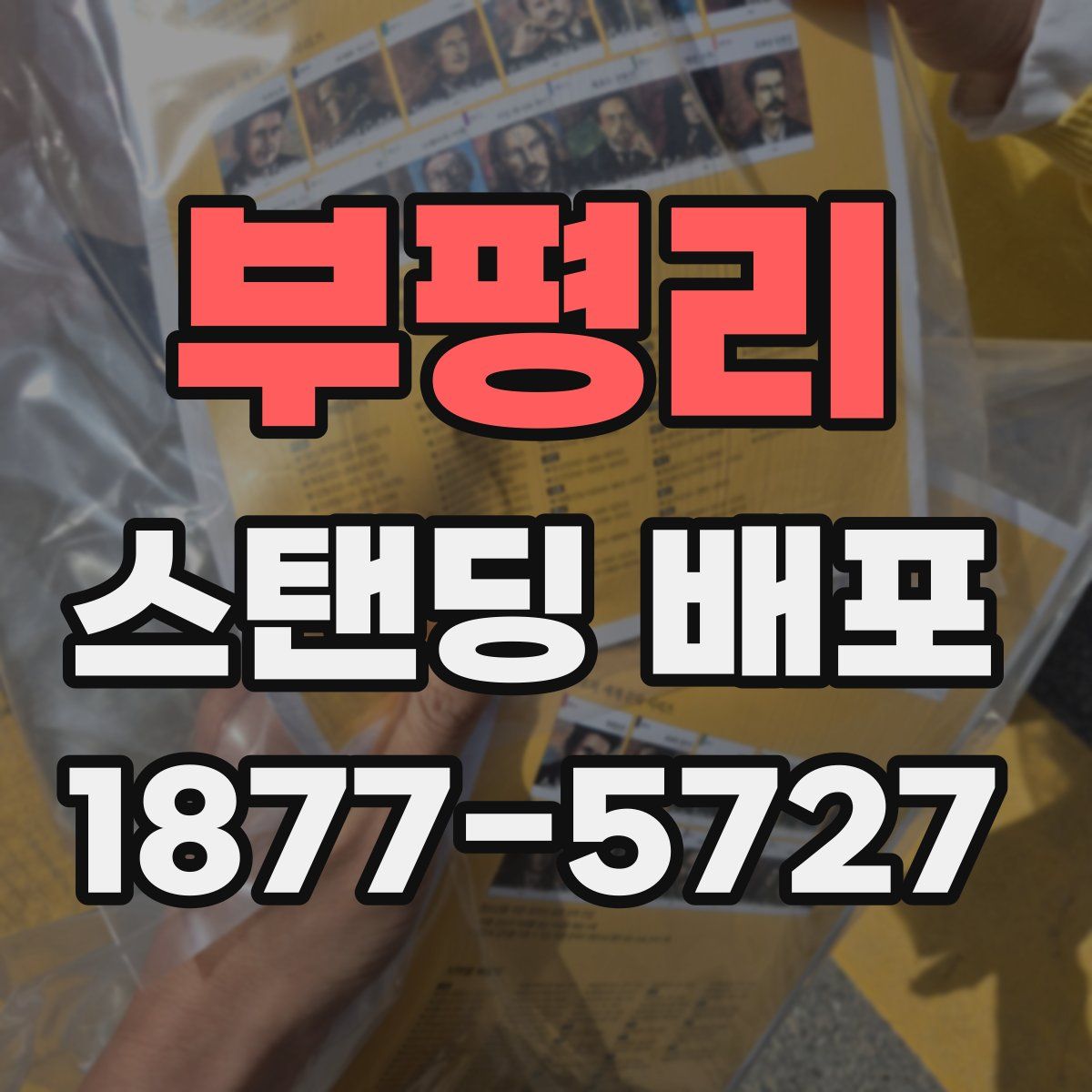 부평리 스탠딩 배포