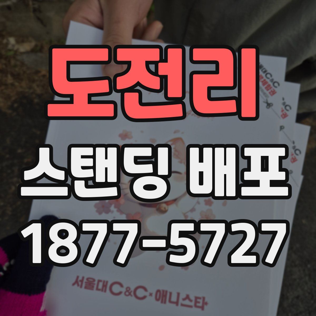 도전리 스탠딩 배포