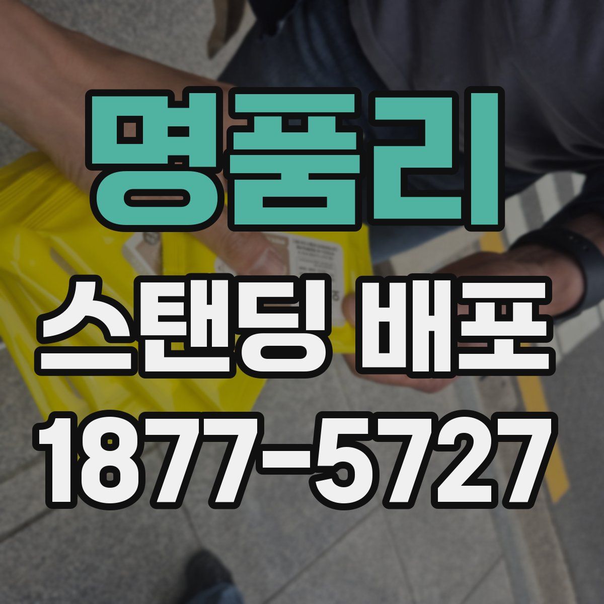 명품리 스탠딩 배포
