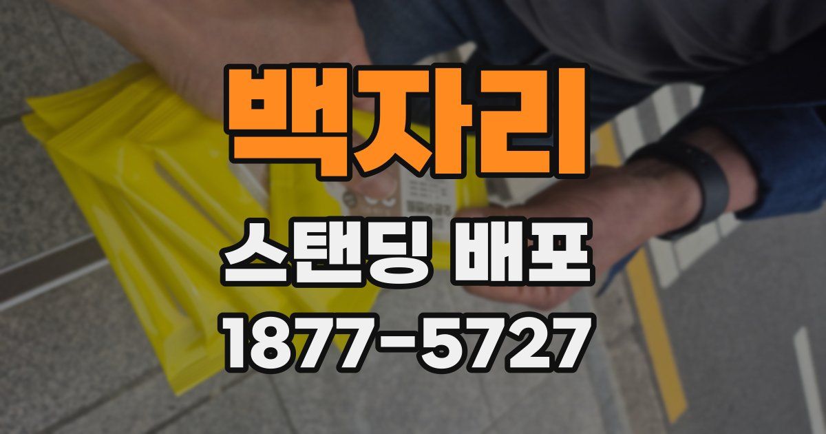 백자리 스탠딩 배포