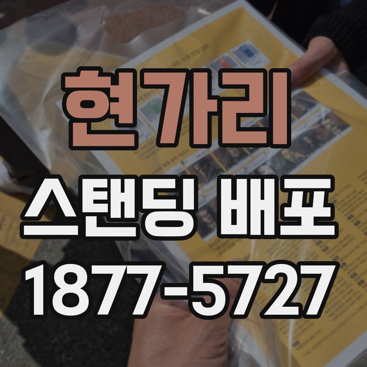 현가리 스탠딩 배포