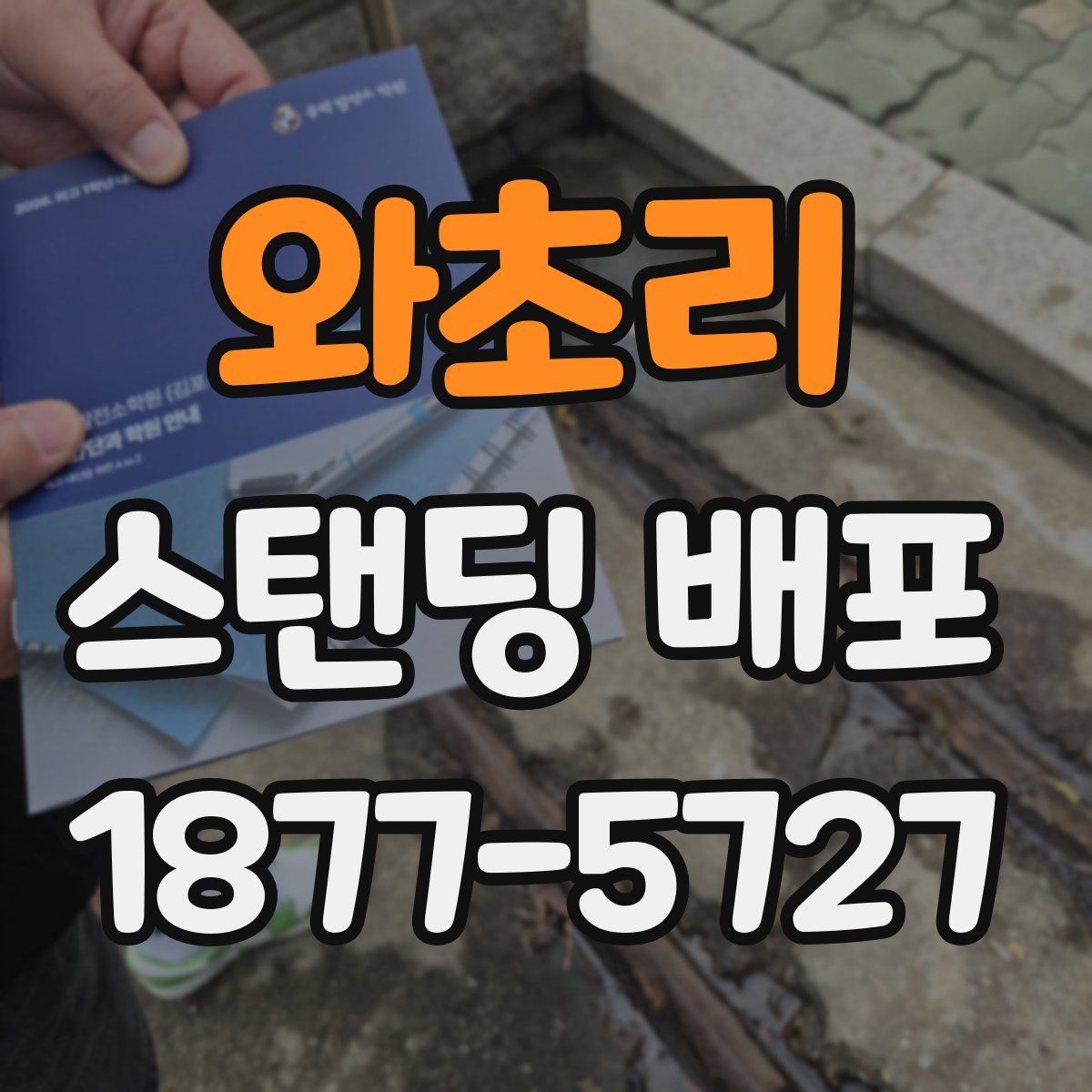 와초리 스탠딩 배포