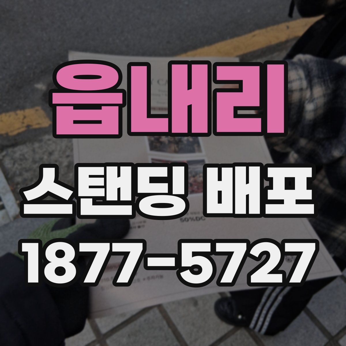 읍내리 스탠딩 배포