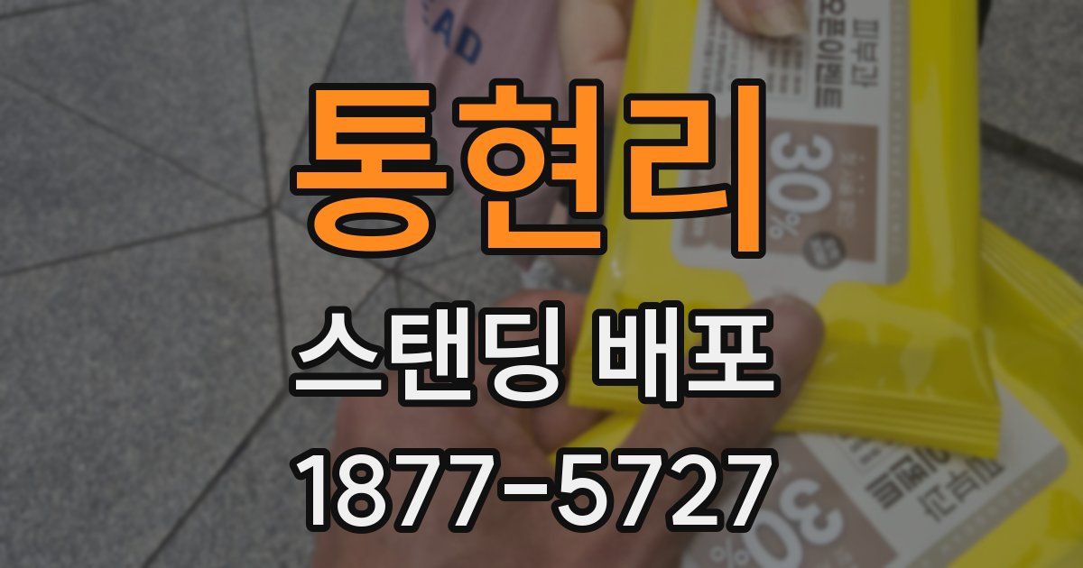 통현리 스탠딩 배포