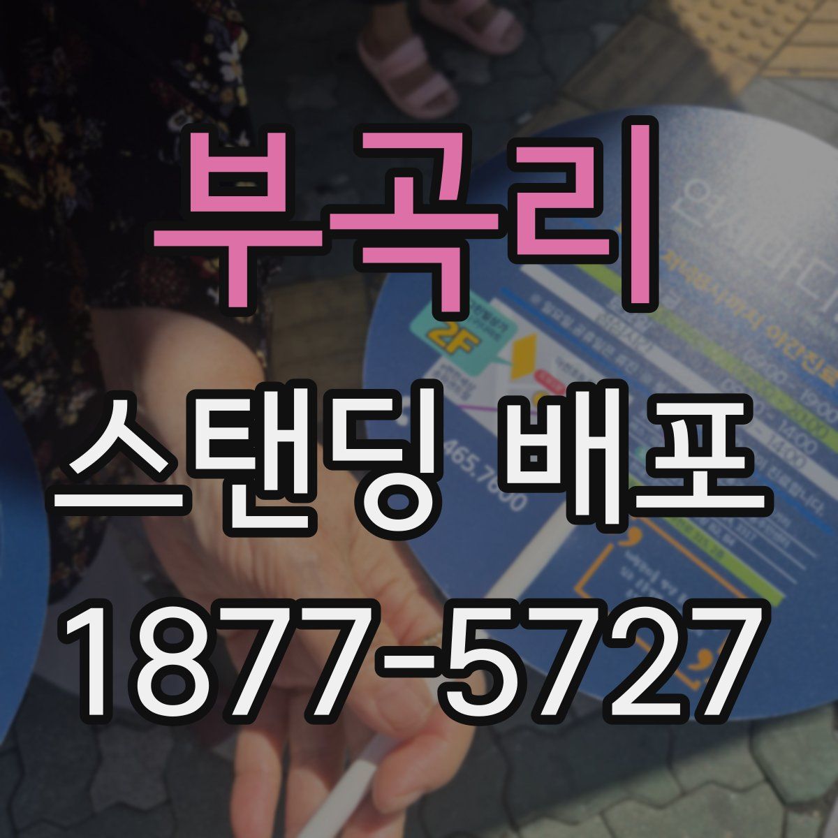 부곡리 스탠딩 배포