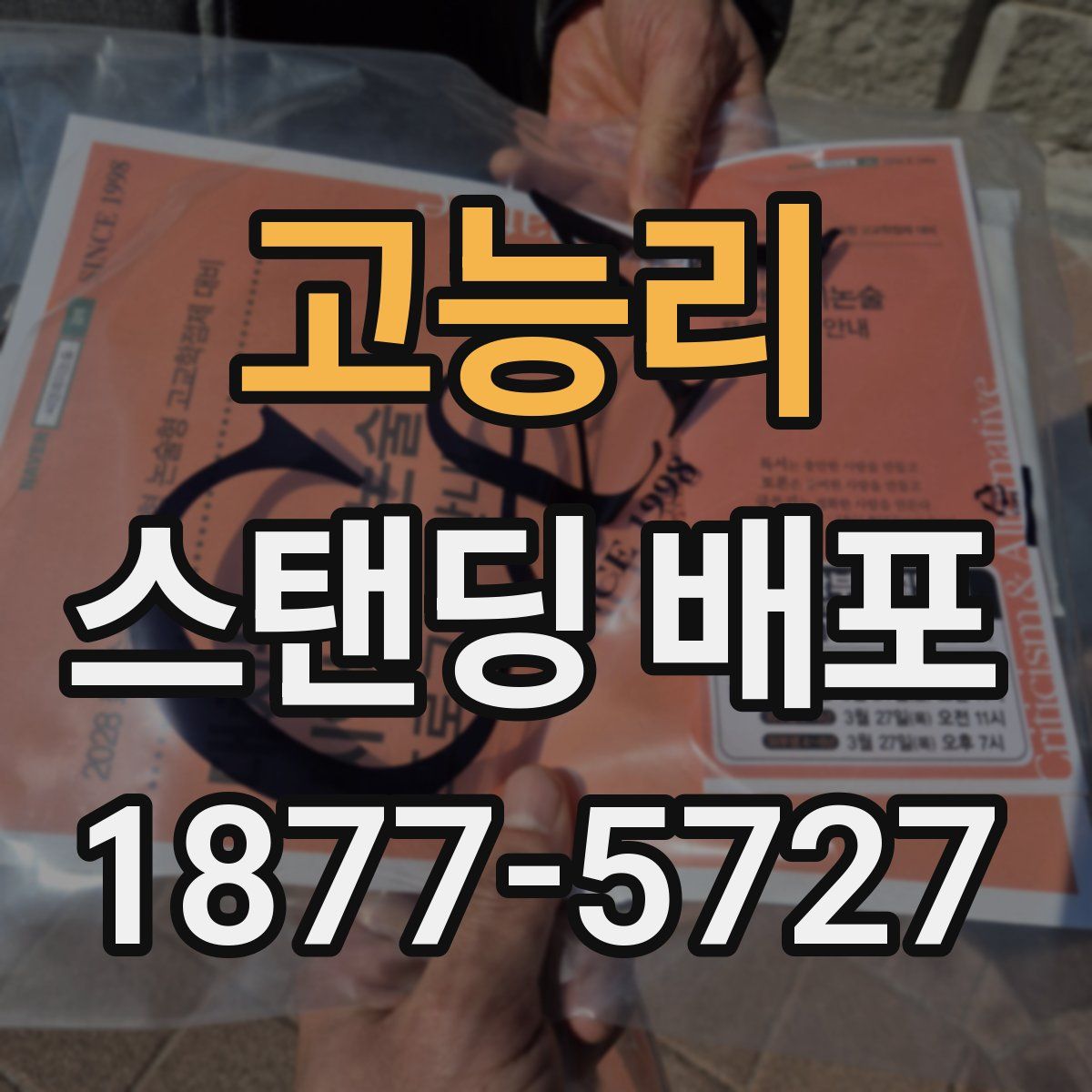 고능리 스탠딩 배포