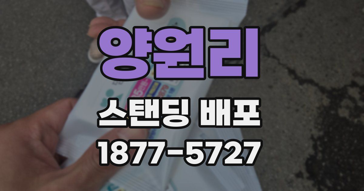 양원리 스탠딩 배포