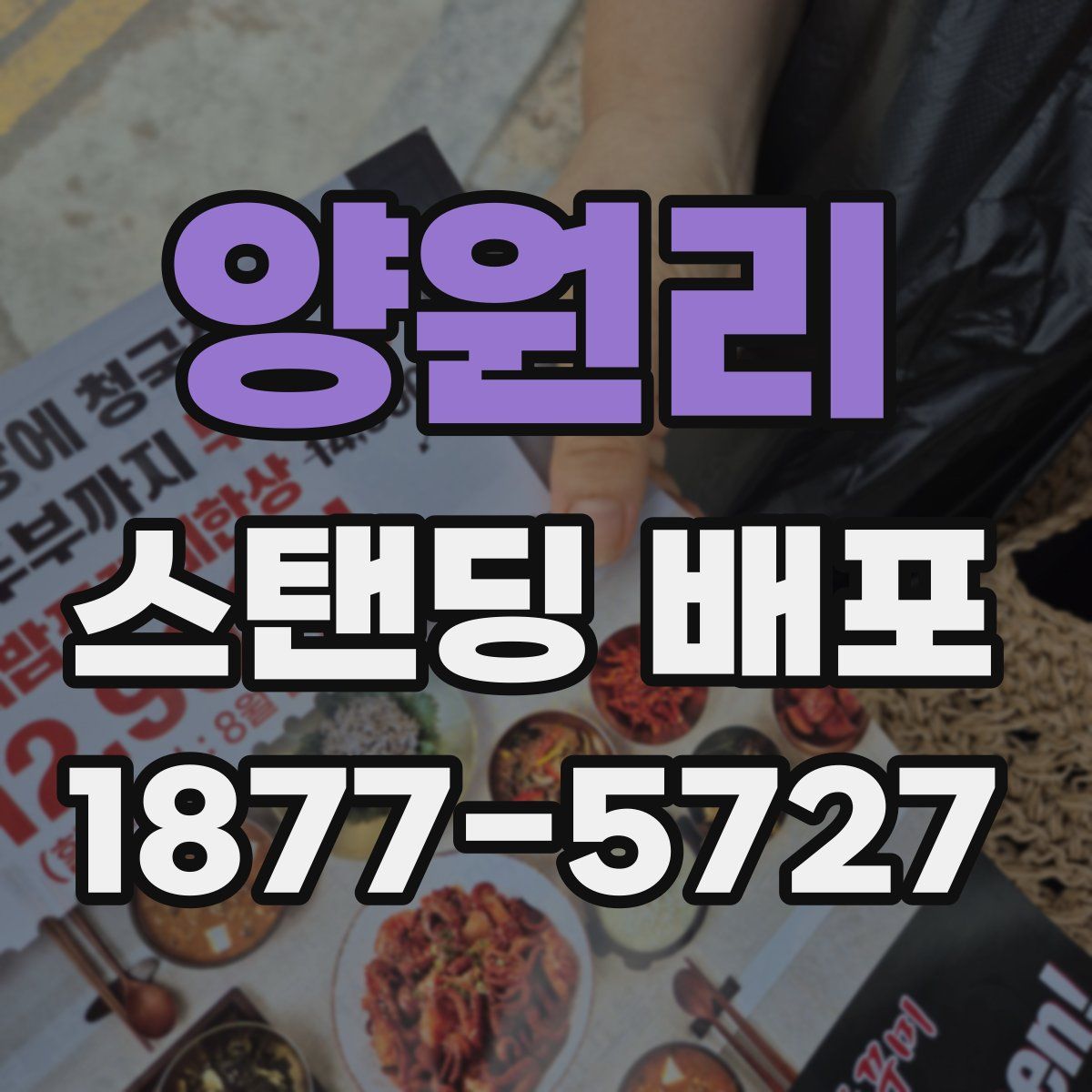 양원리 스탠딩 배포