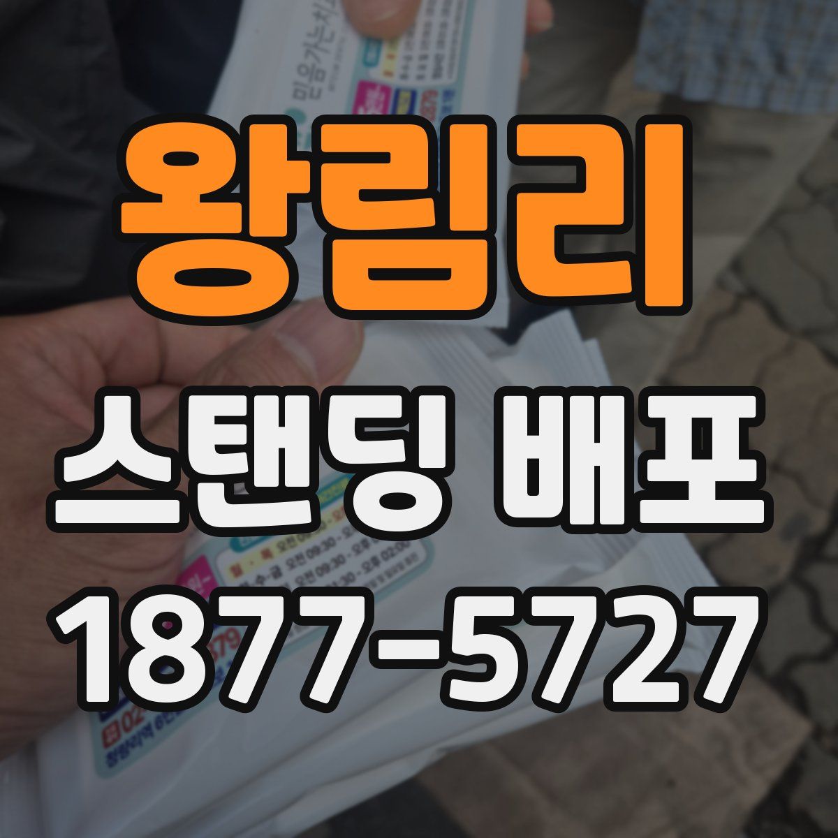 왕림리 스탠딩 배포