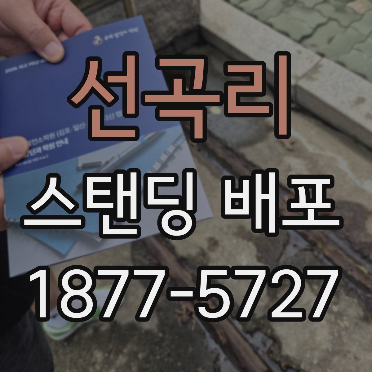 선곡리 스탠딩 배포
