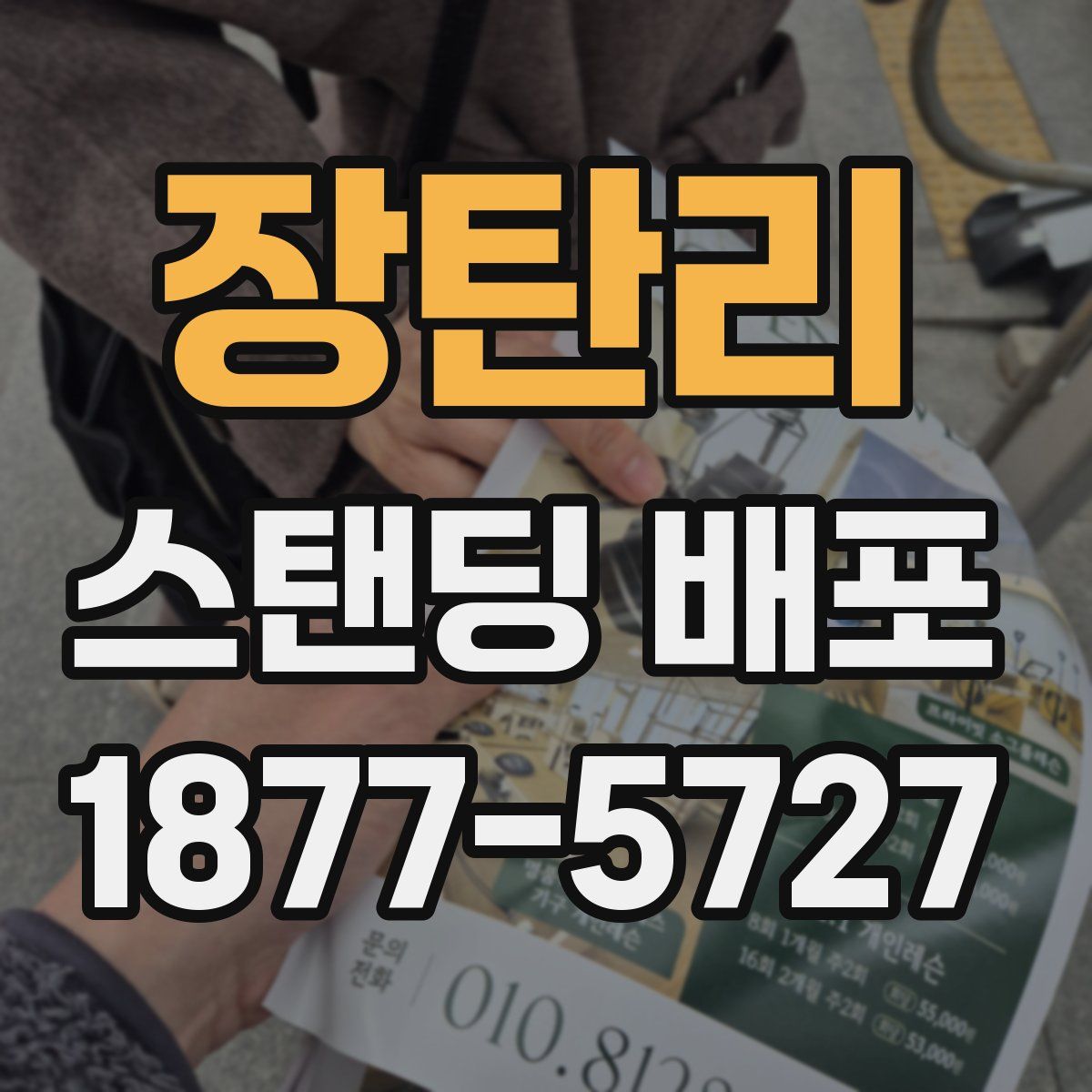 장탄리 스탠딩 배포
