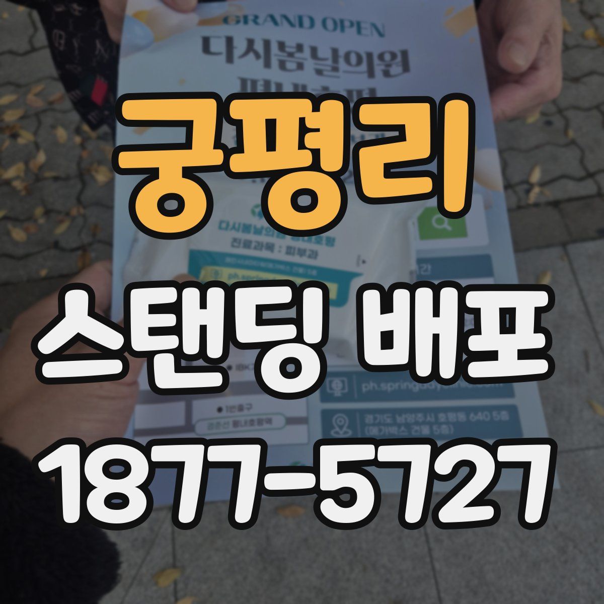 궁평리 스탠딩 배포