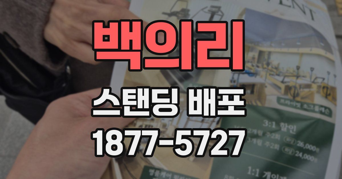 백의리 스탠딩 배포