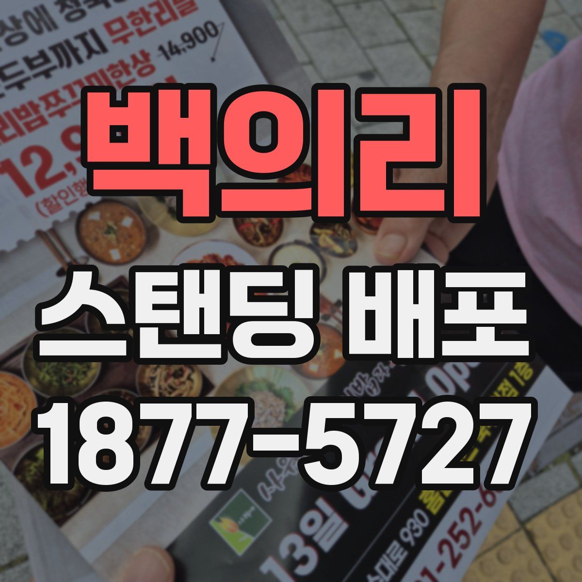 백의리 스탠딩 배포