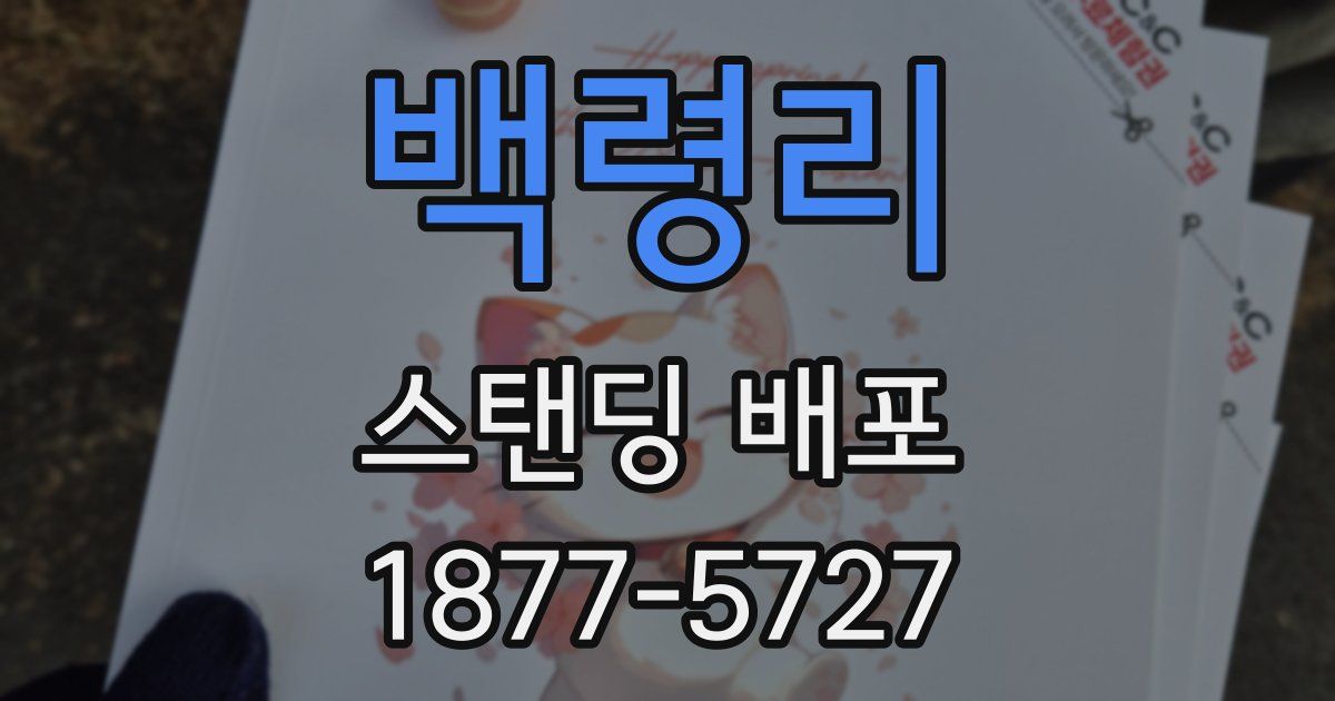 백령리 스탠딩 배포