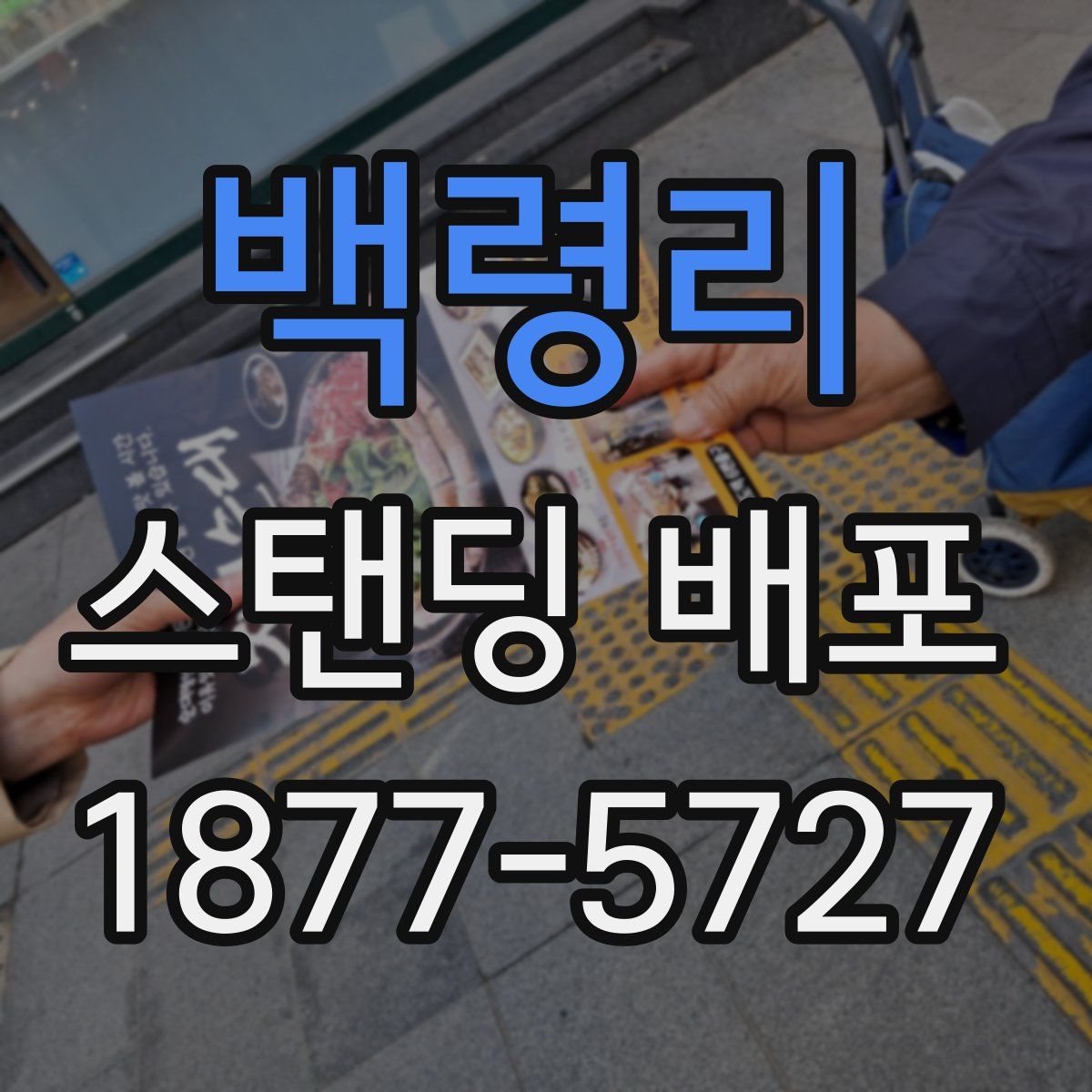 백령리 스탠딩 배포