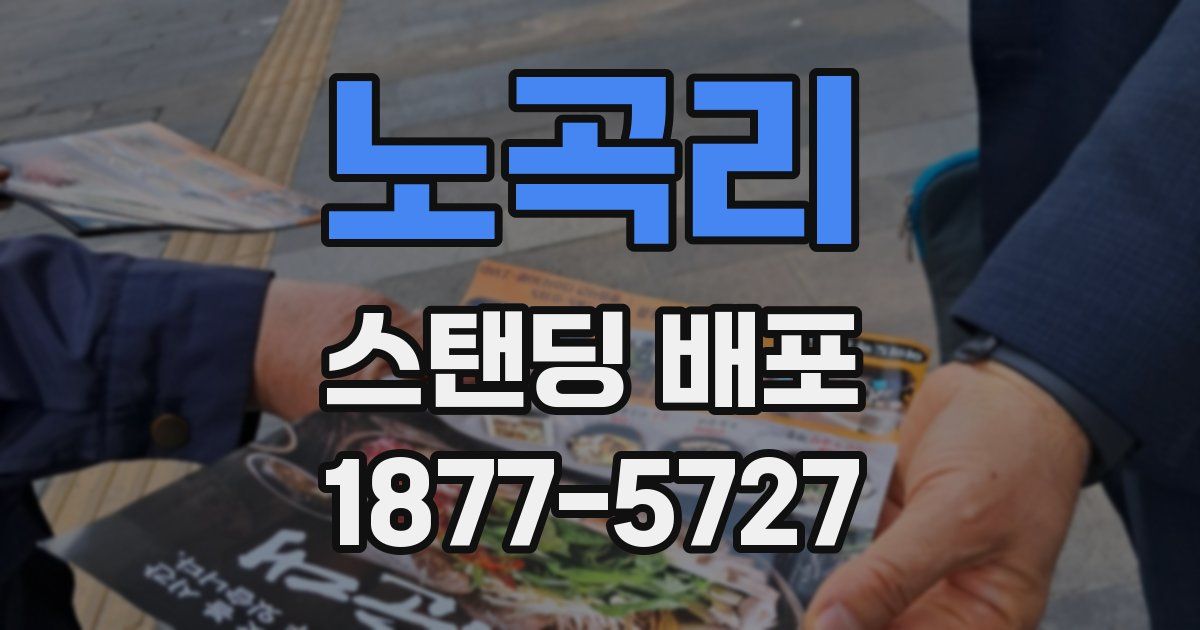 노곡리 스탠딩 배포