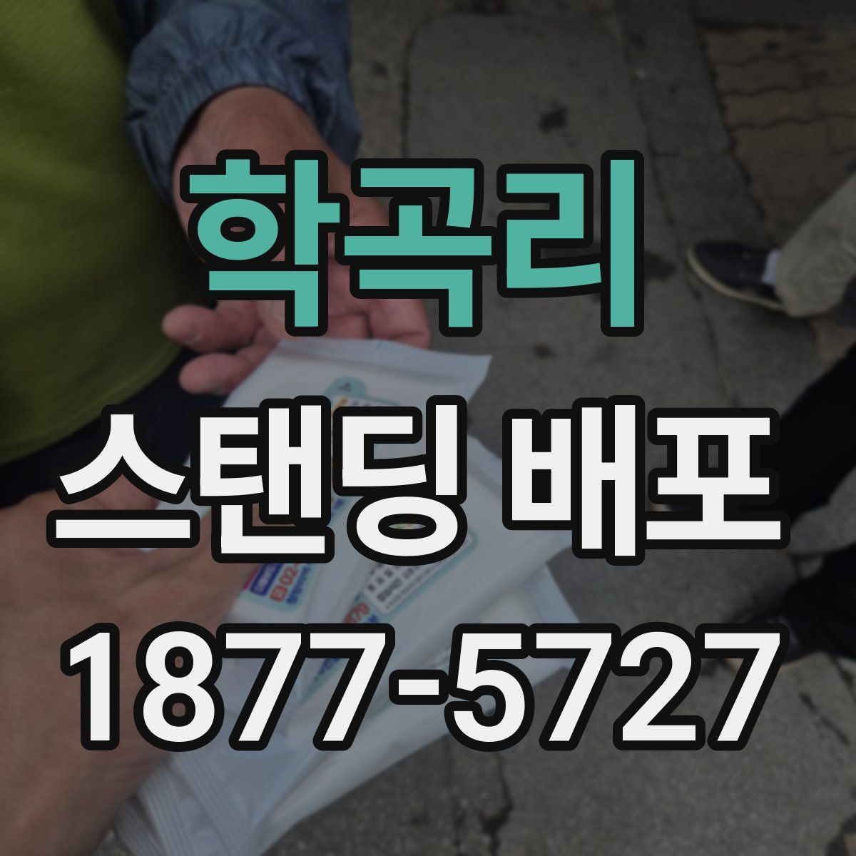 학곡리 스탠딩 배포