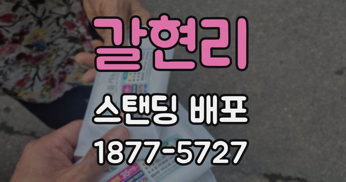 갈현리 스탠딩 배포