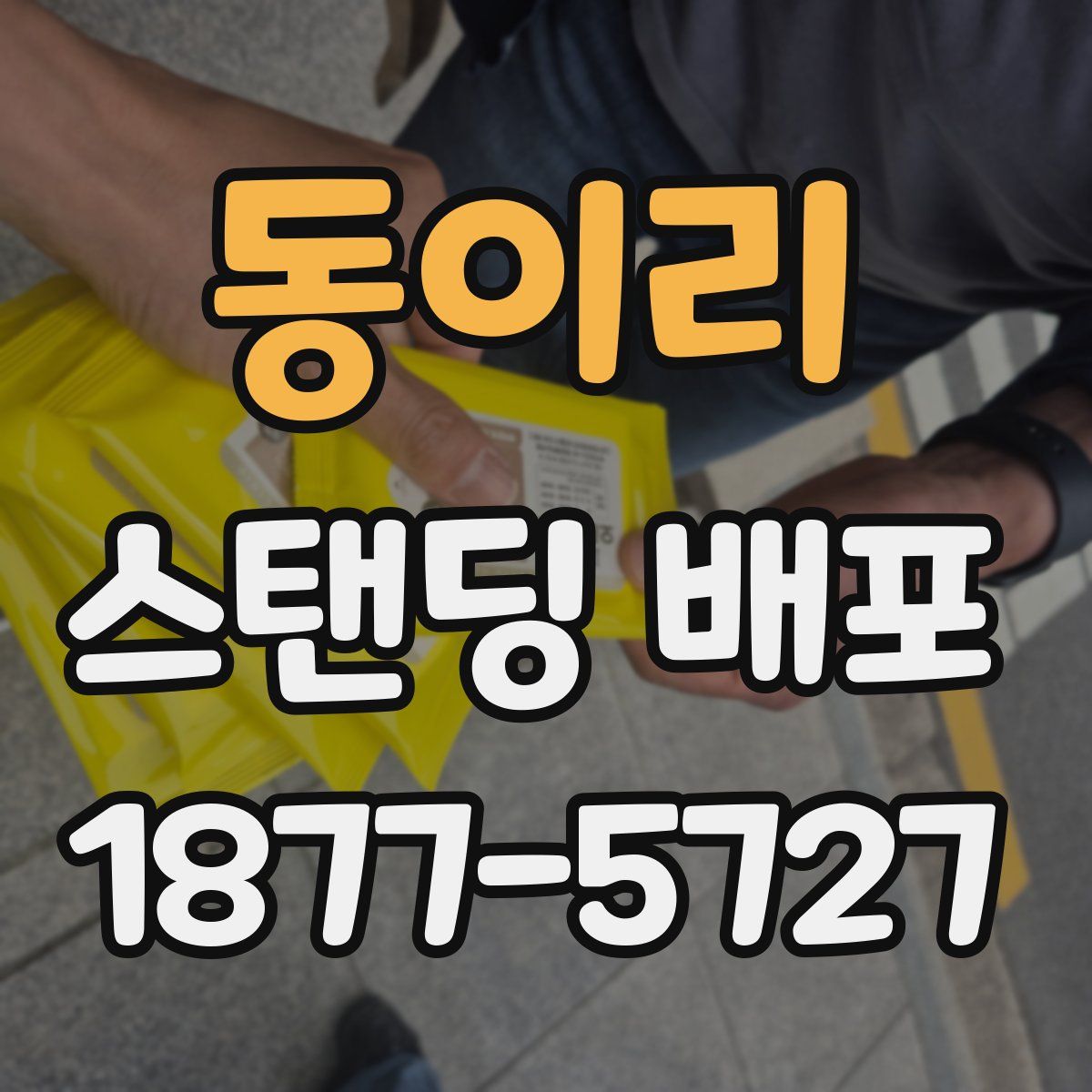 동이리 스탠딩 배포