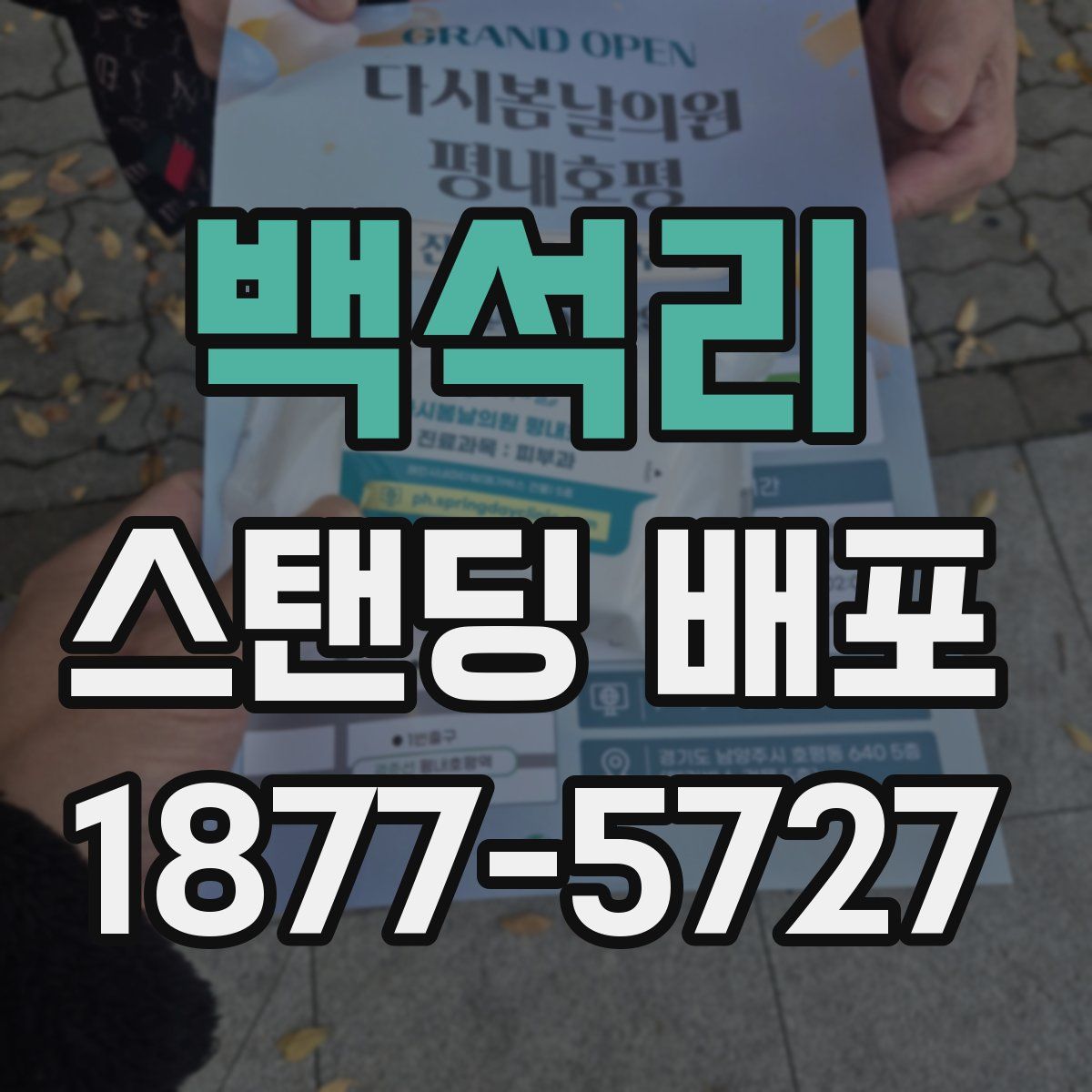 백석리 스탠딩 배포