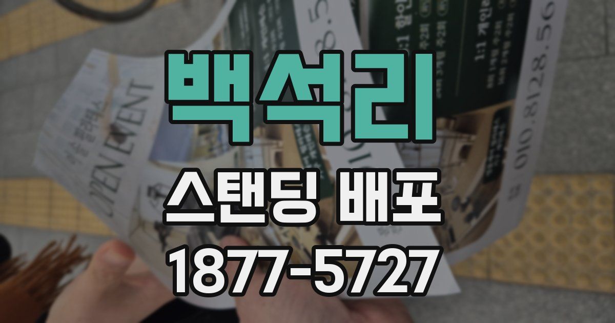백석리 스탠딩 배포