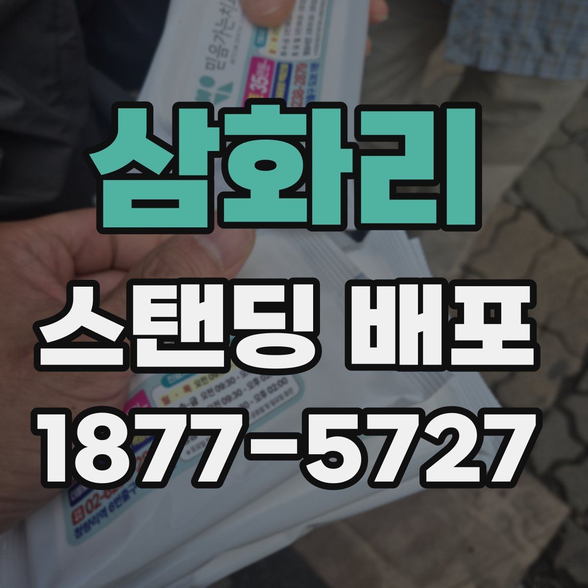 삼화리 스탠딩 배포