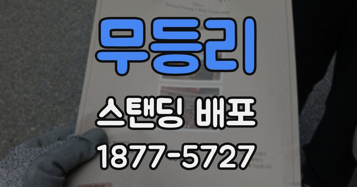 무등리 스탠딩 배포