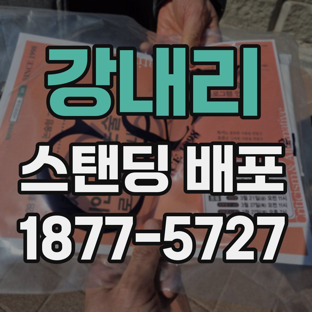 강내리 스탠딩 배포