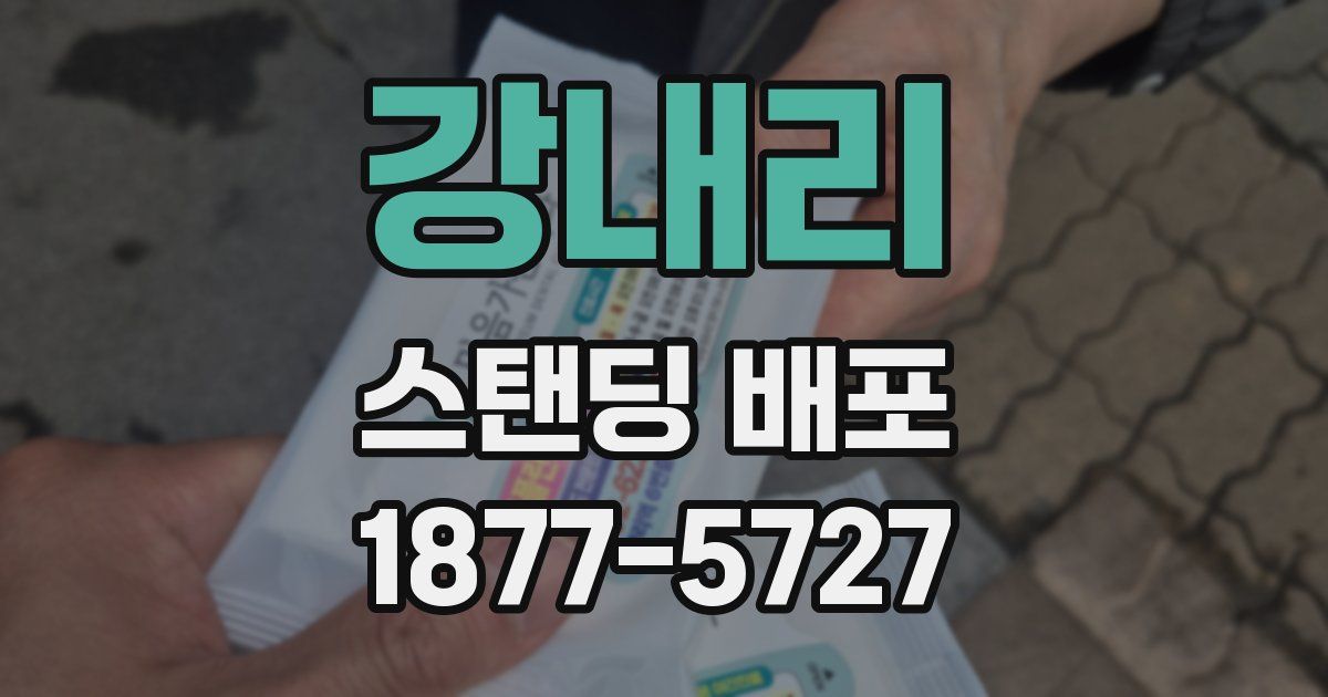 강내리 스탠딩 배포