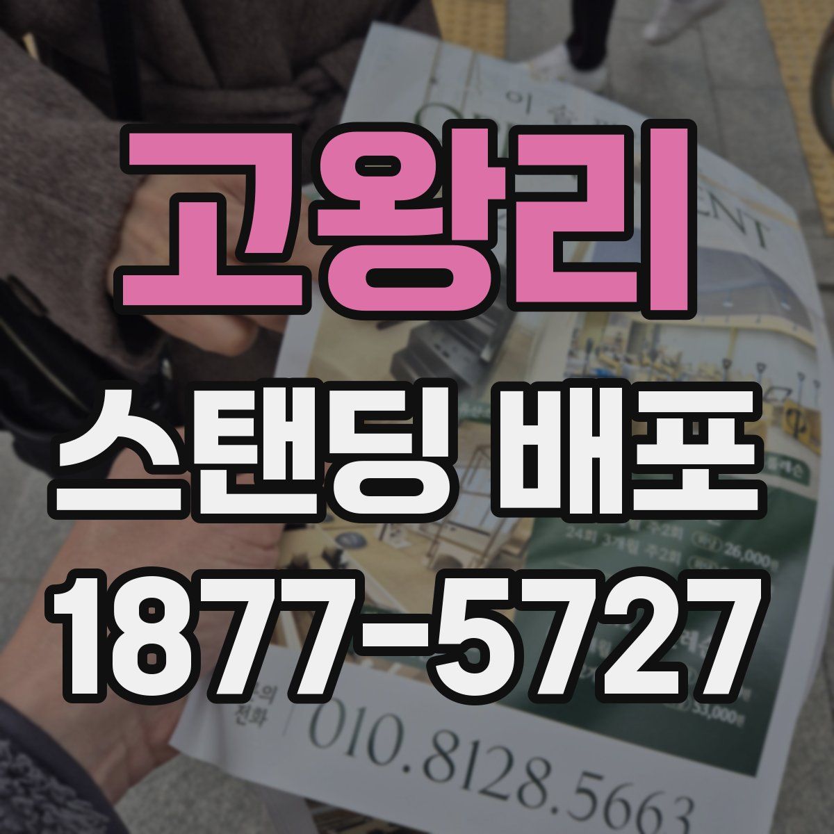 고왕리 스탠딩 배포