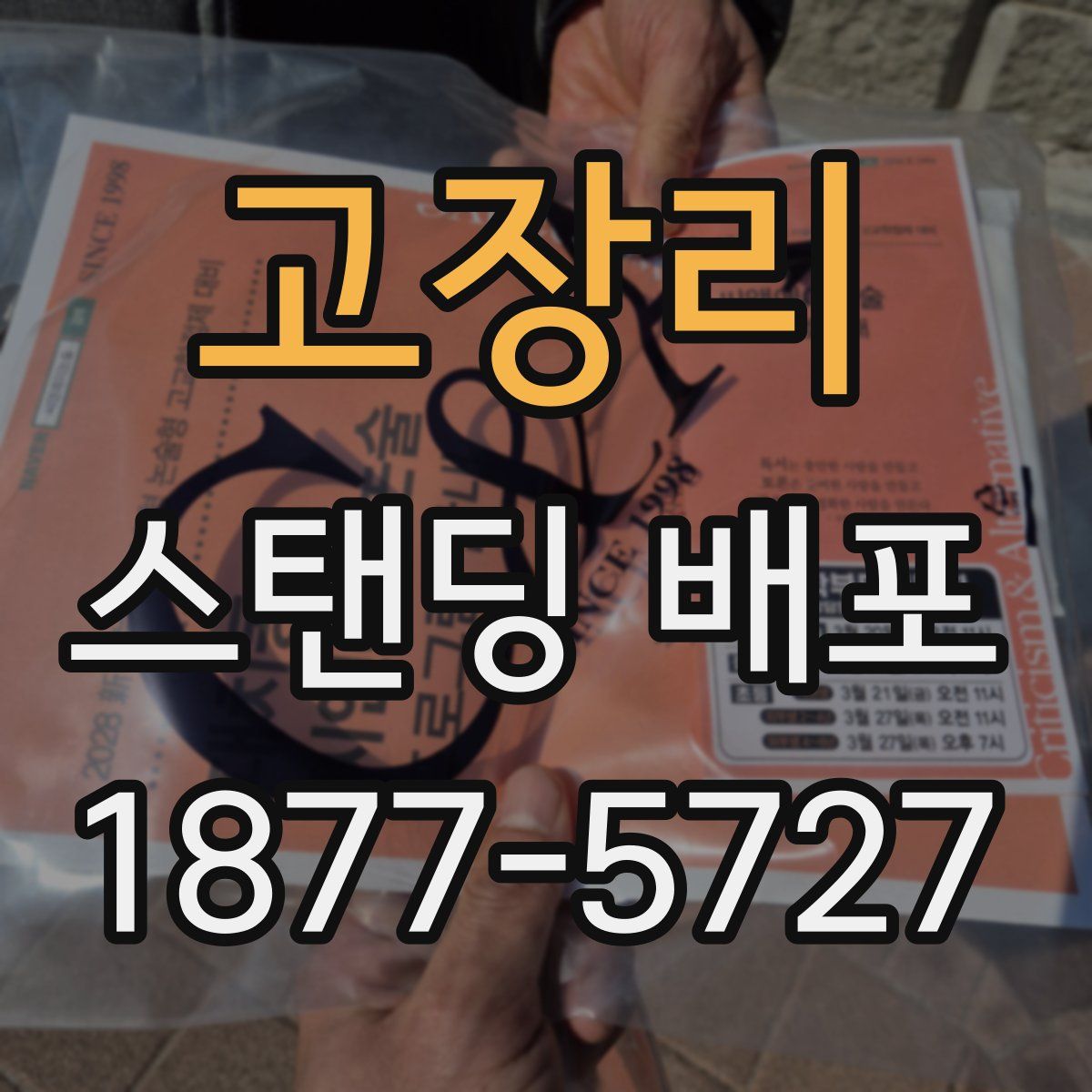 고장리 스탠딩 배포