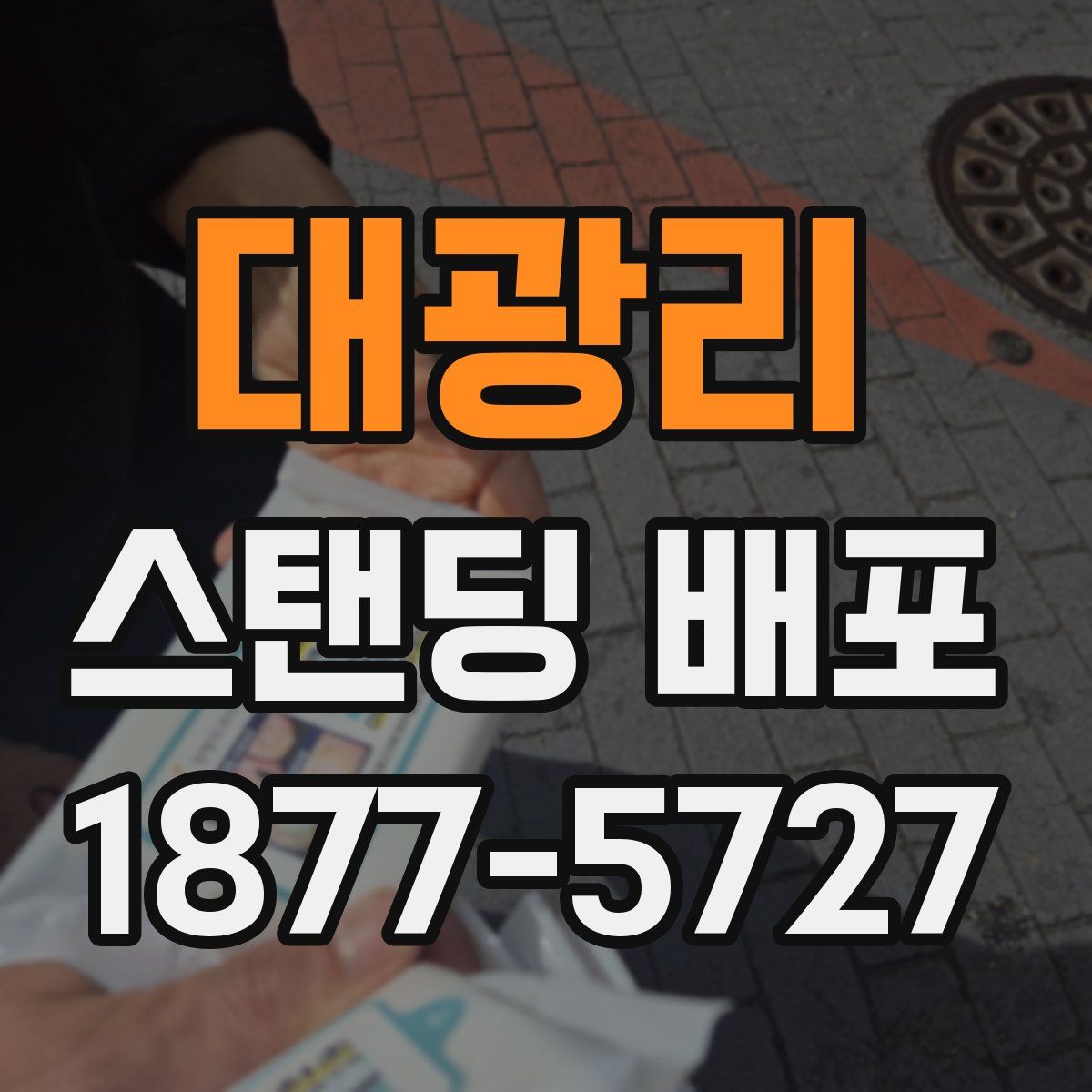 대광리 스탠딩 배포