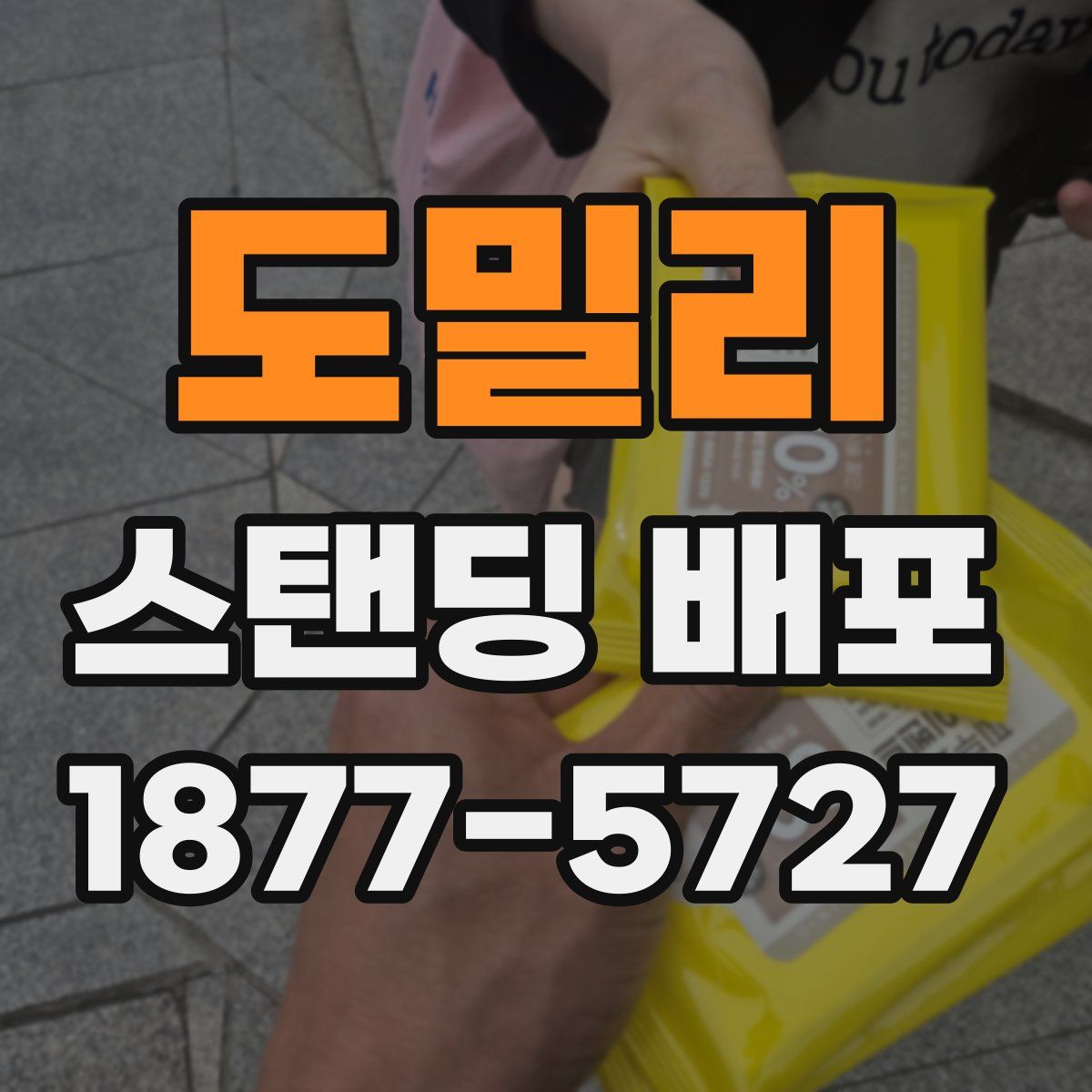 도밀리 스탠딩 배포