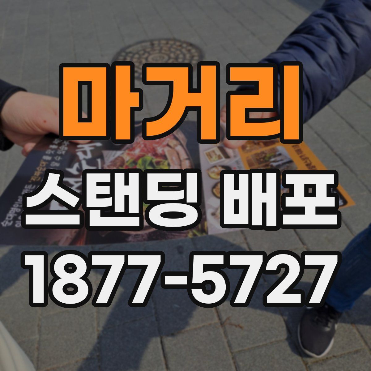 마거리 스탠딩 배포