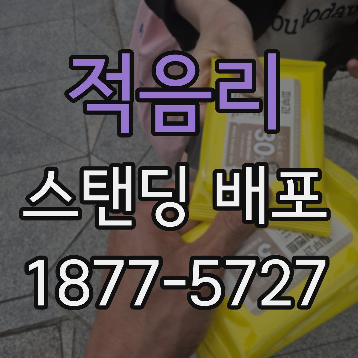 적음리 스탠딩 배포