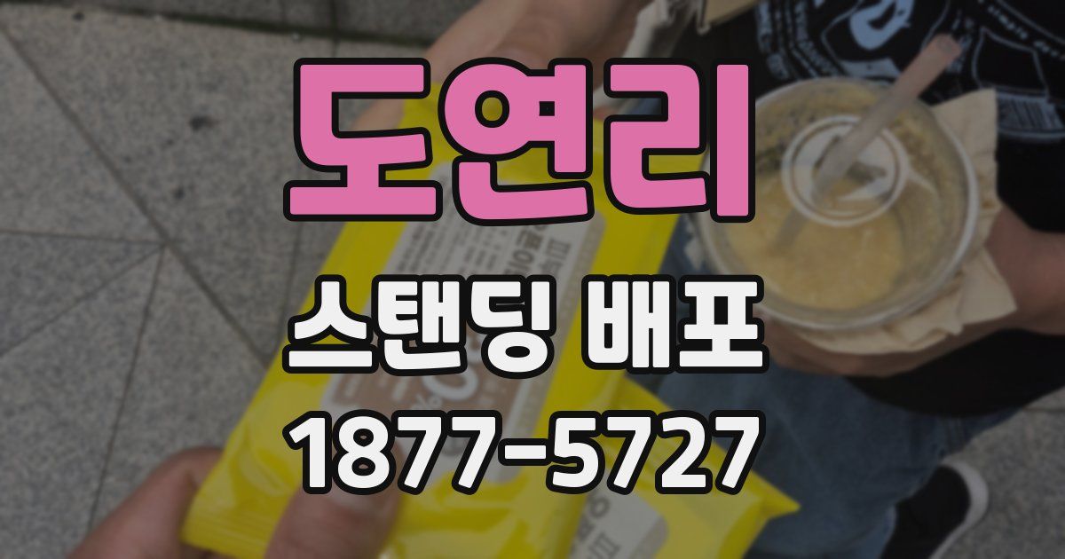 도연리 스탠딩 배포