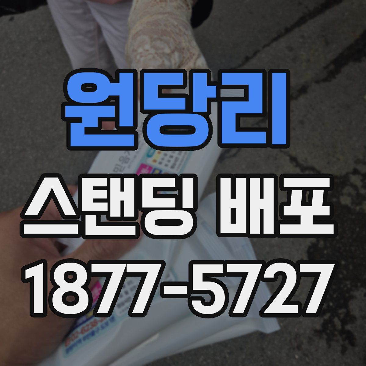 원당리 스탠딩 배포
