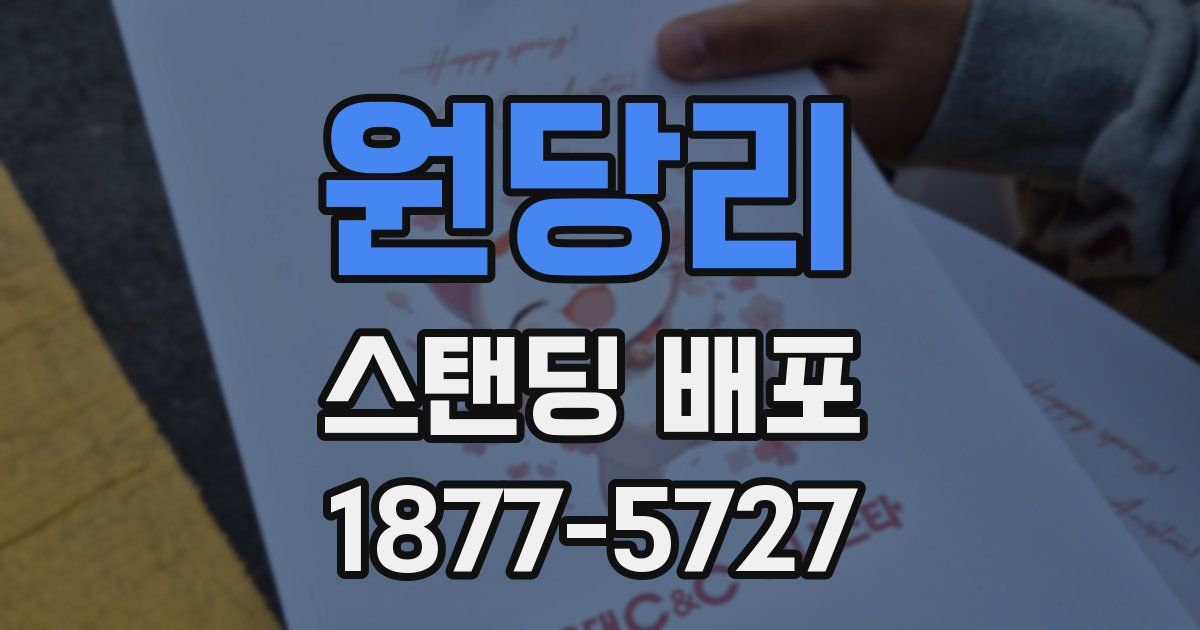 원당리 스탠딩 배포