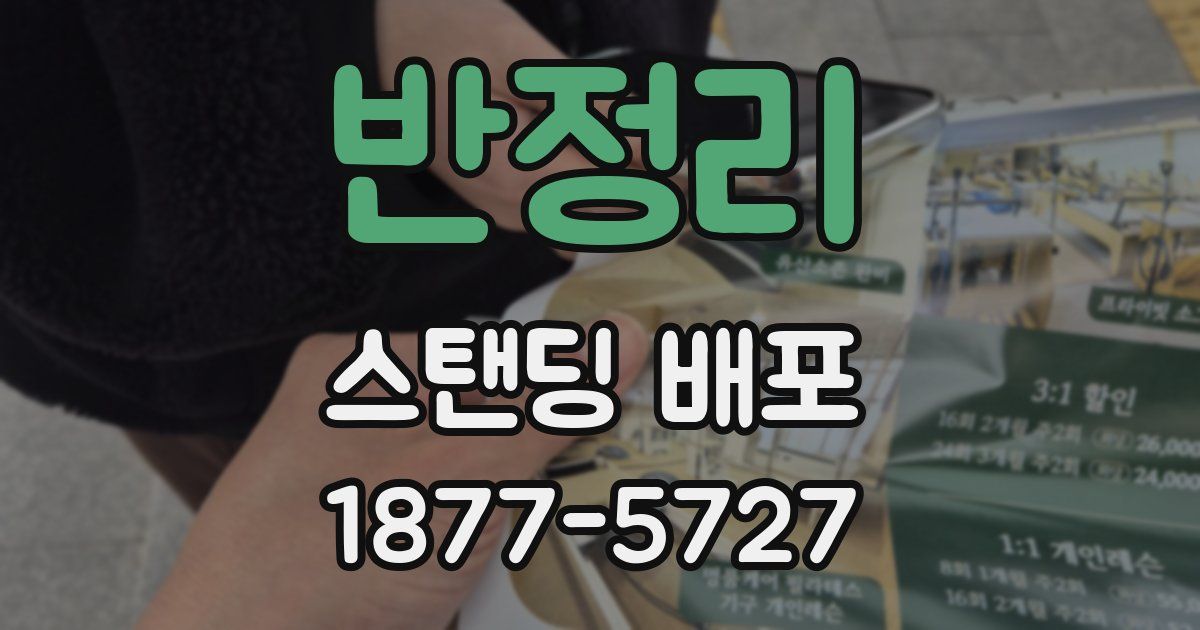 반정리 스탠딩 배포