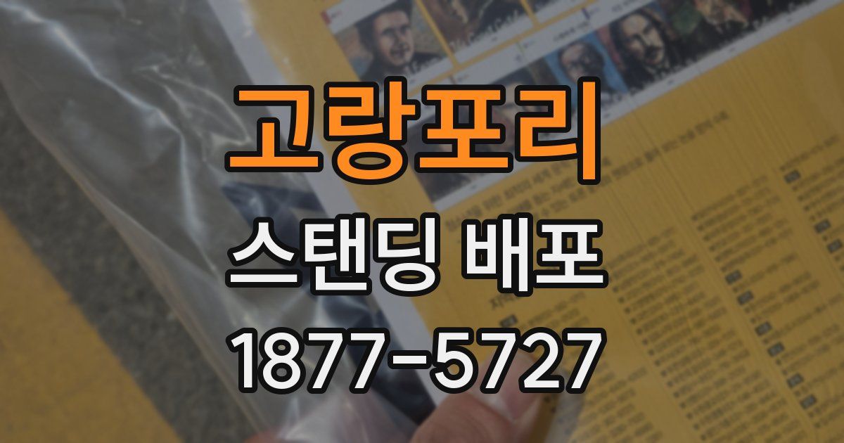고랑포리 스탠딩 배포