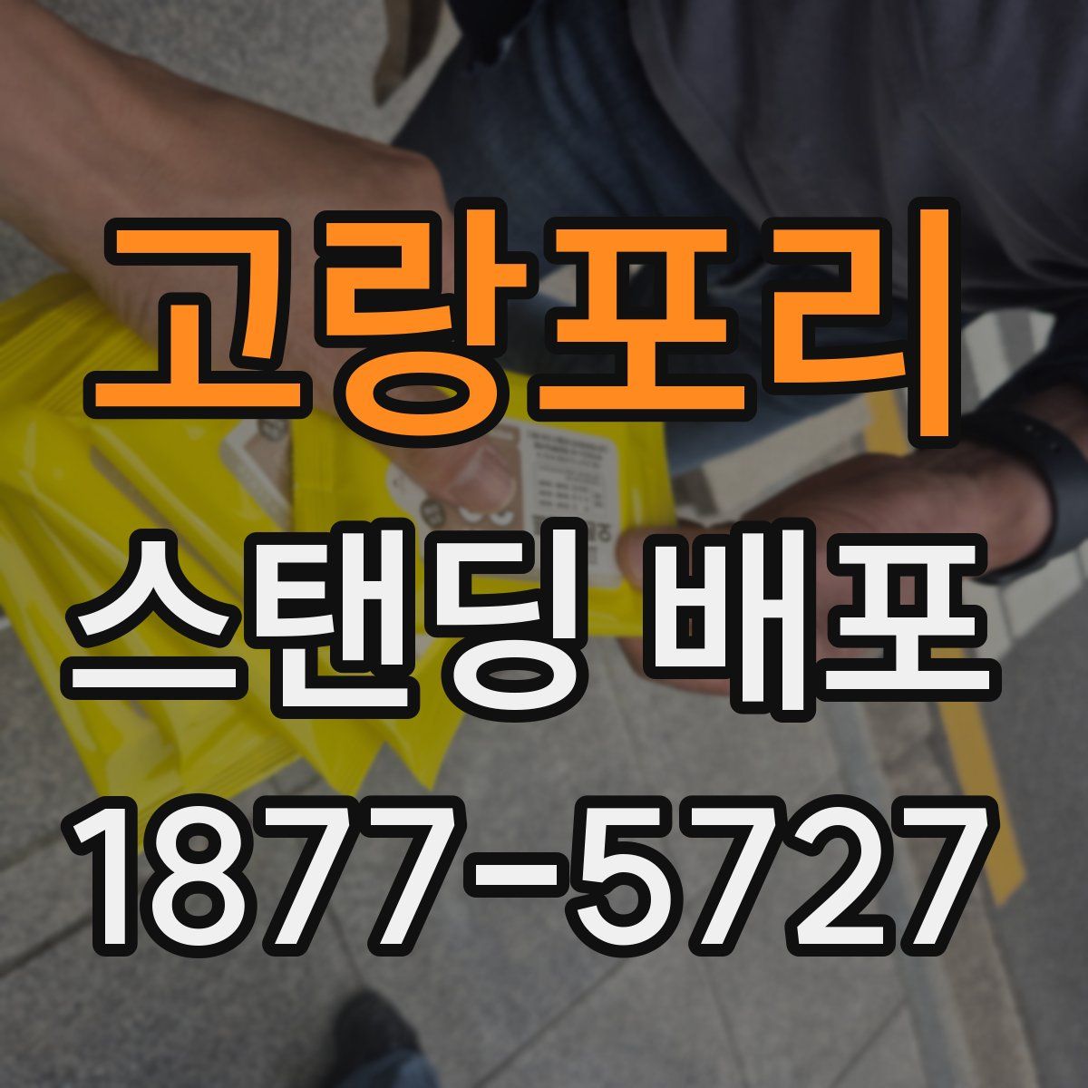 고랑포리 스탠딩 배포