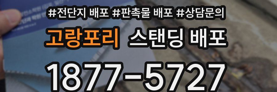 고랑포리 스탠딩 배포
