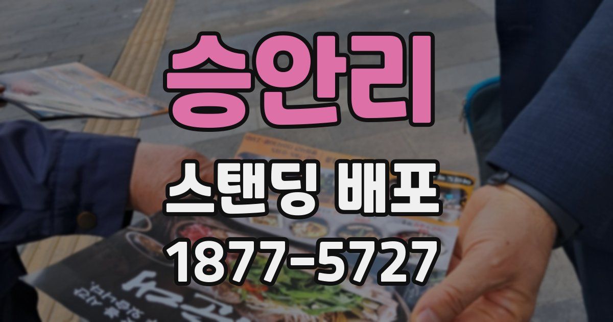 승안리 스탠딩 배포