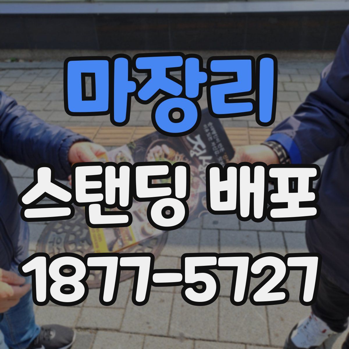 마장리 스탠딩 배포