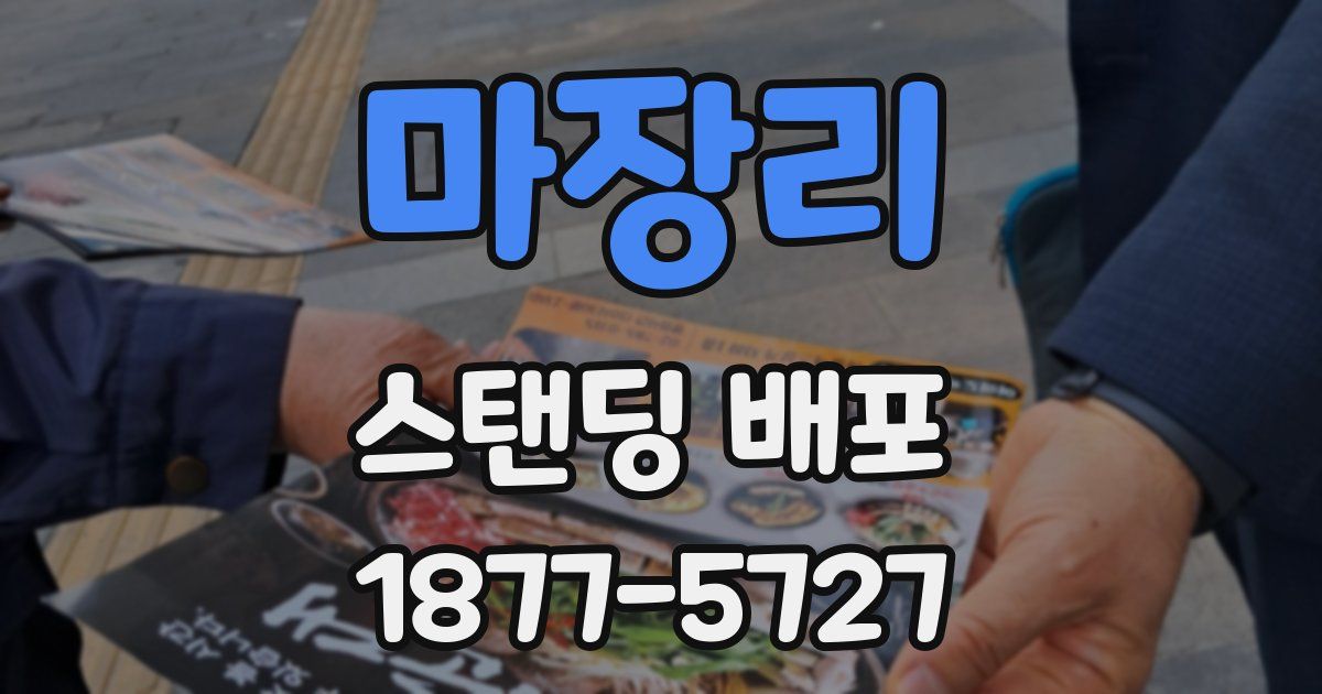 마장리 스탠딩 배포
