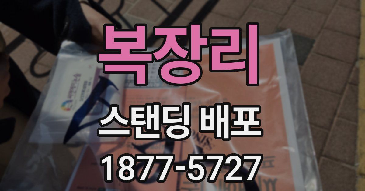 복장리 스탠딩 배포